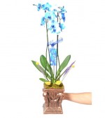 2022/01/3-thumb-handmade-tasarim-dekoratif-dizayn-saksida-cift-dalli-mavi-orkide-no.5-kcm65806802-1-cf7ea6b0833145a888940b6e064d3132.jpg