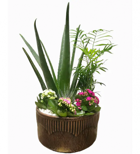 Living Spirit Green Garden