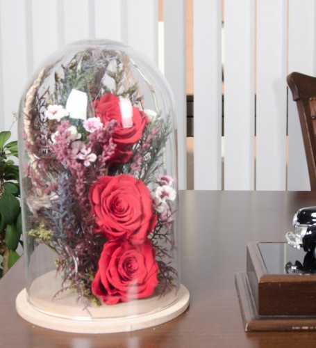 Solmayan Güller - Love 3 Red