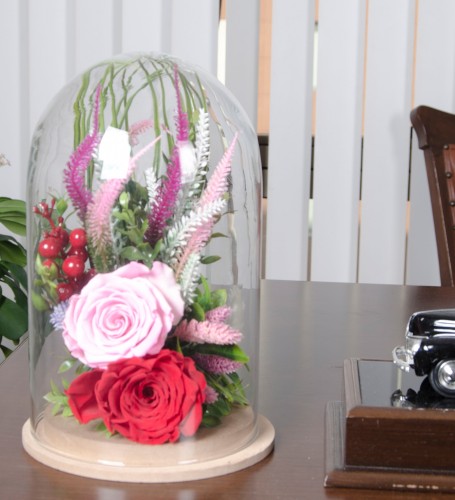 Solmayan Güller - Red & Pink