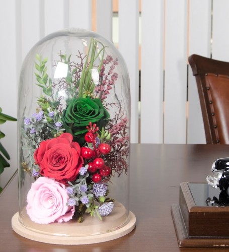 Solmayan Güller - Colors Mix