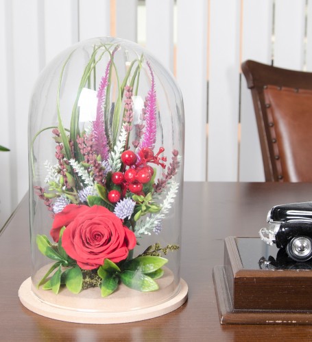 Solmayan Gül - Red Loves