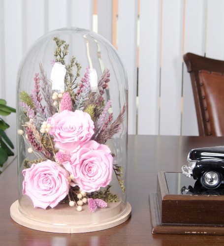 Solmayan Güller - Sweet Pink