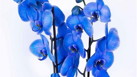 Kadınlar Nasıl Sevilmek İster?