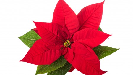 Sevgiliye Özel Hissettirecek Hitap Şekilleri