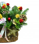 2023/12/3-thumb-photoroom20231210104230-194.jpg