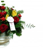 2023/12/3-thumb-photoroom20231210125042-399.jpg