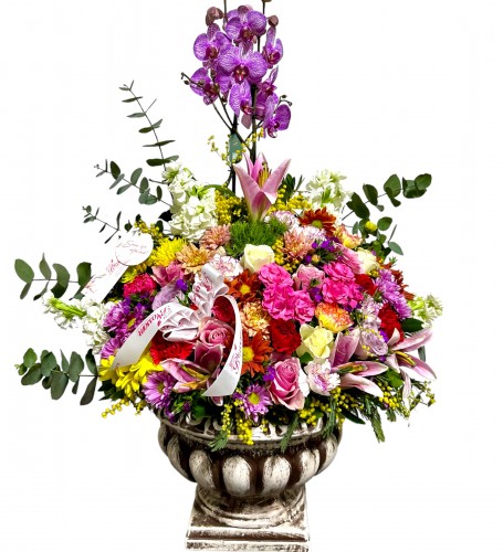 Special Magic Orchid Arrangement