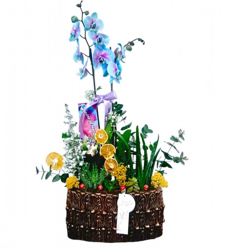 Round Blue Orchid Arrangement