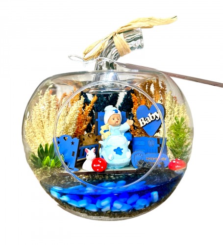 Yeni Doğan Erkek Bebek Hoşgeldin Teraryum