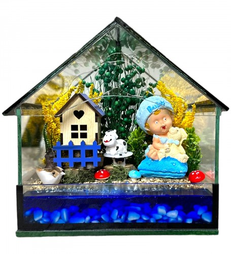 Yeni Doğan Erkek Bebek Hoşgeldin Ev Tasarımlı Teraryum