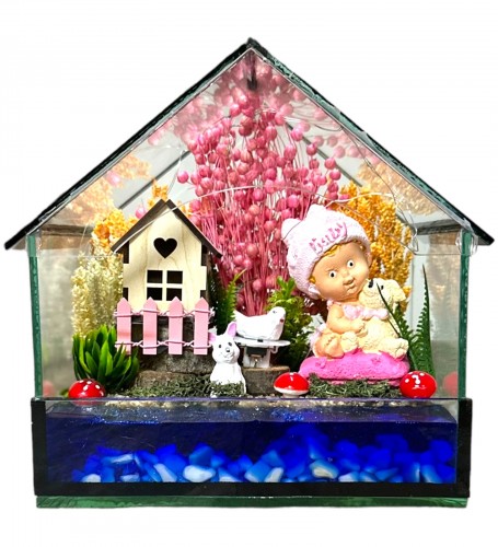 Yeni Doğan Kız Bebek Hoşgeldin Ev Tasarımlı Teraryum