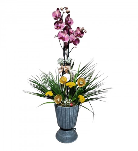 Luxury Hot Coral Orkide Çiçeği (Ateş Orkide)